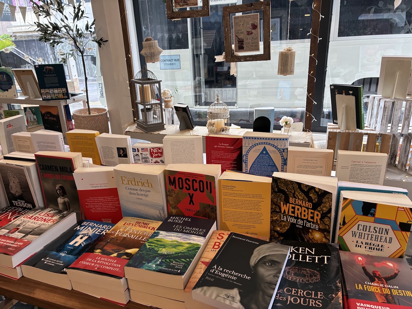 Librairie Le Trèfle: clear display of bookstore products