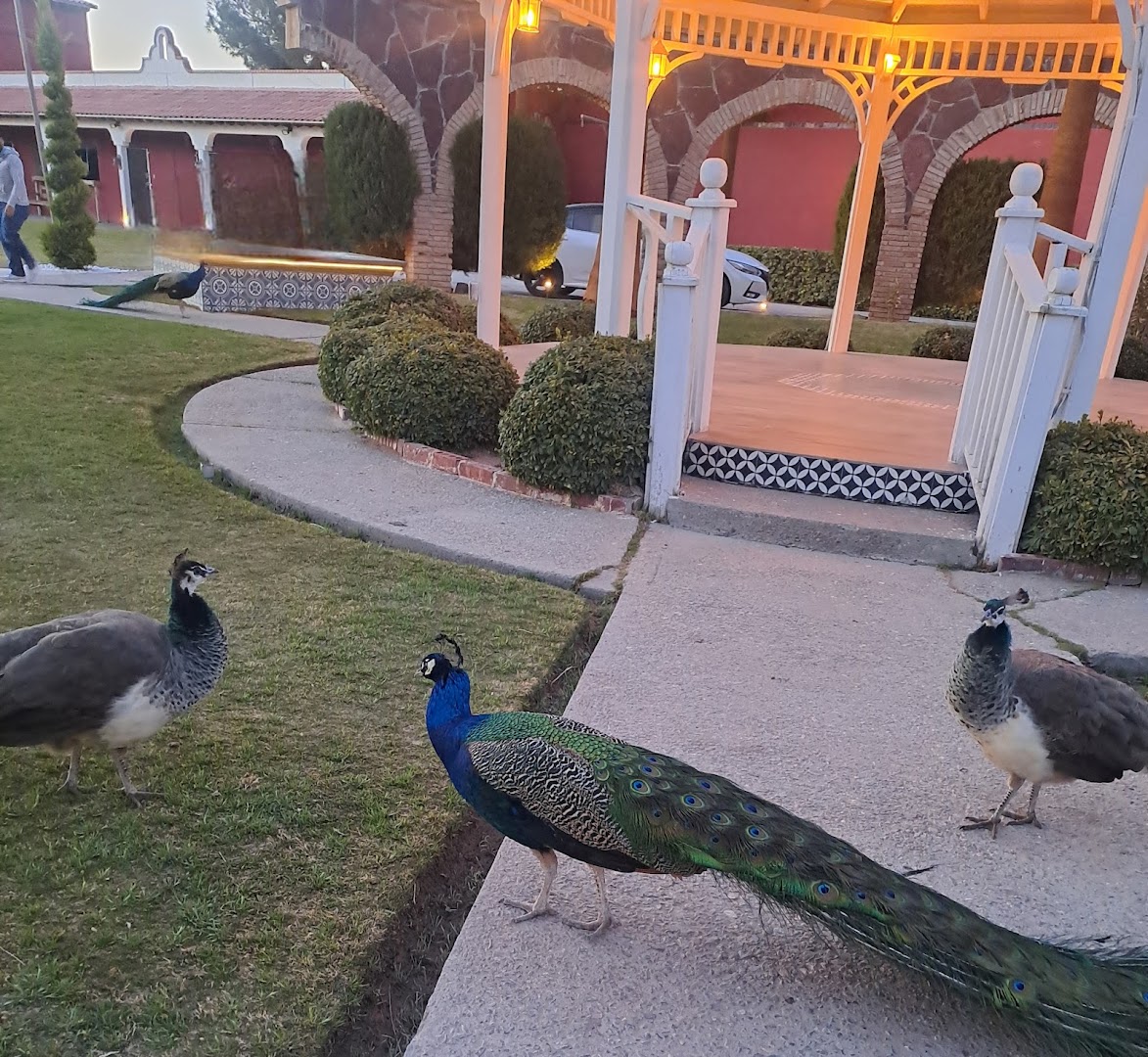 Rústico by Hacienda Los Monroy: venue atmosphere and wildlife
