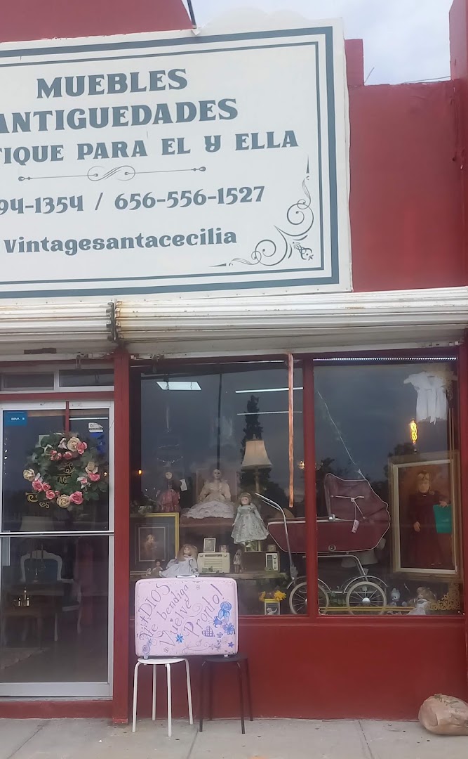 Vintage Santa Cecilia: clear storefront showing shop identity