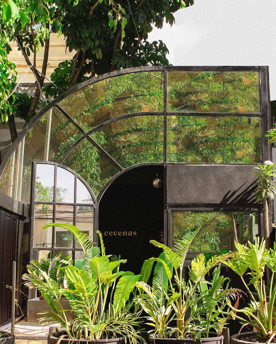 Mecenas: attractive exterior shot of venue