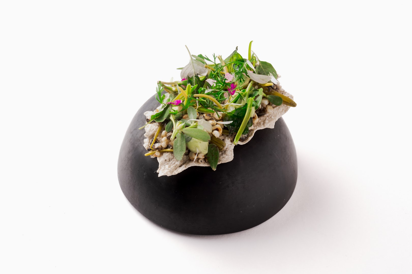 Nois: professional high-quality food photography
