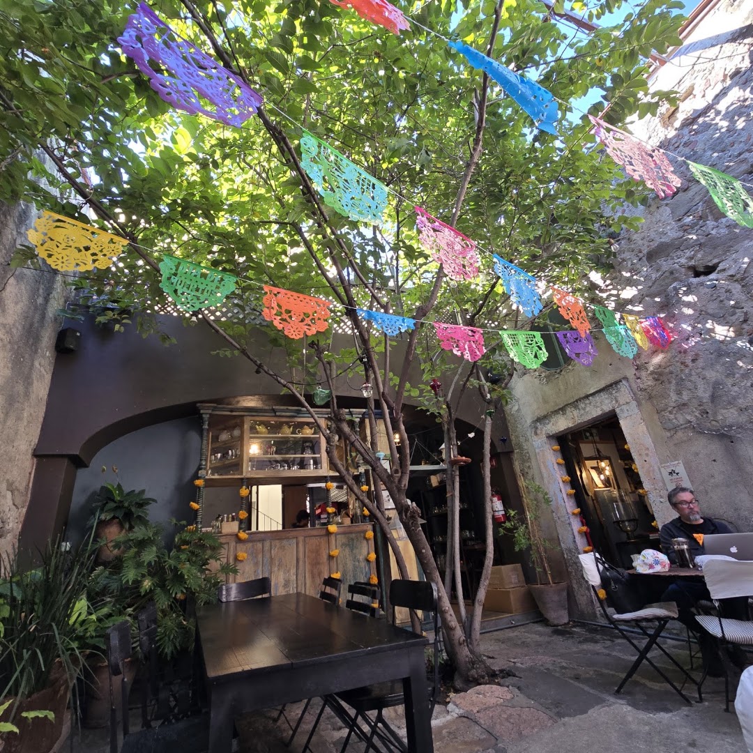 Néctar: inviting and atmospheric restaurant terrace