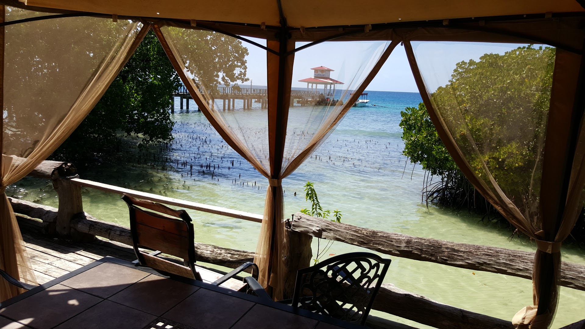 Mangroove Bar: inviting atmosphere and scenic view