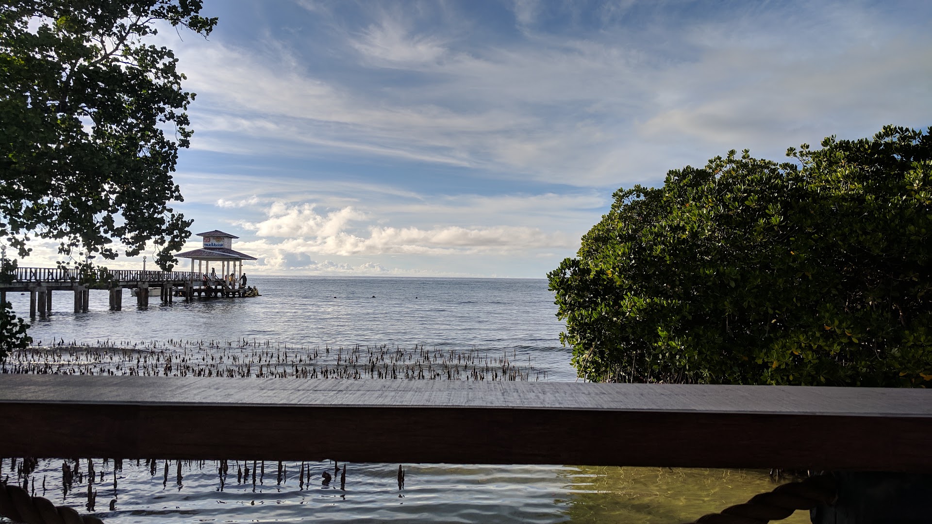 Mangroove Bar: beautiful scenic view of venue