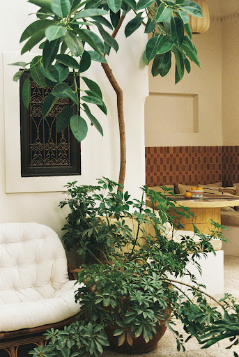 Rosemary: attractive, high-quality hotel interior shot