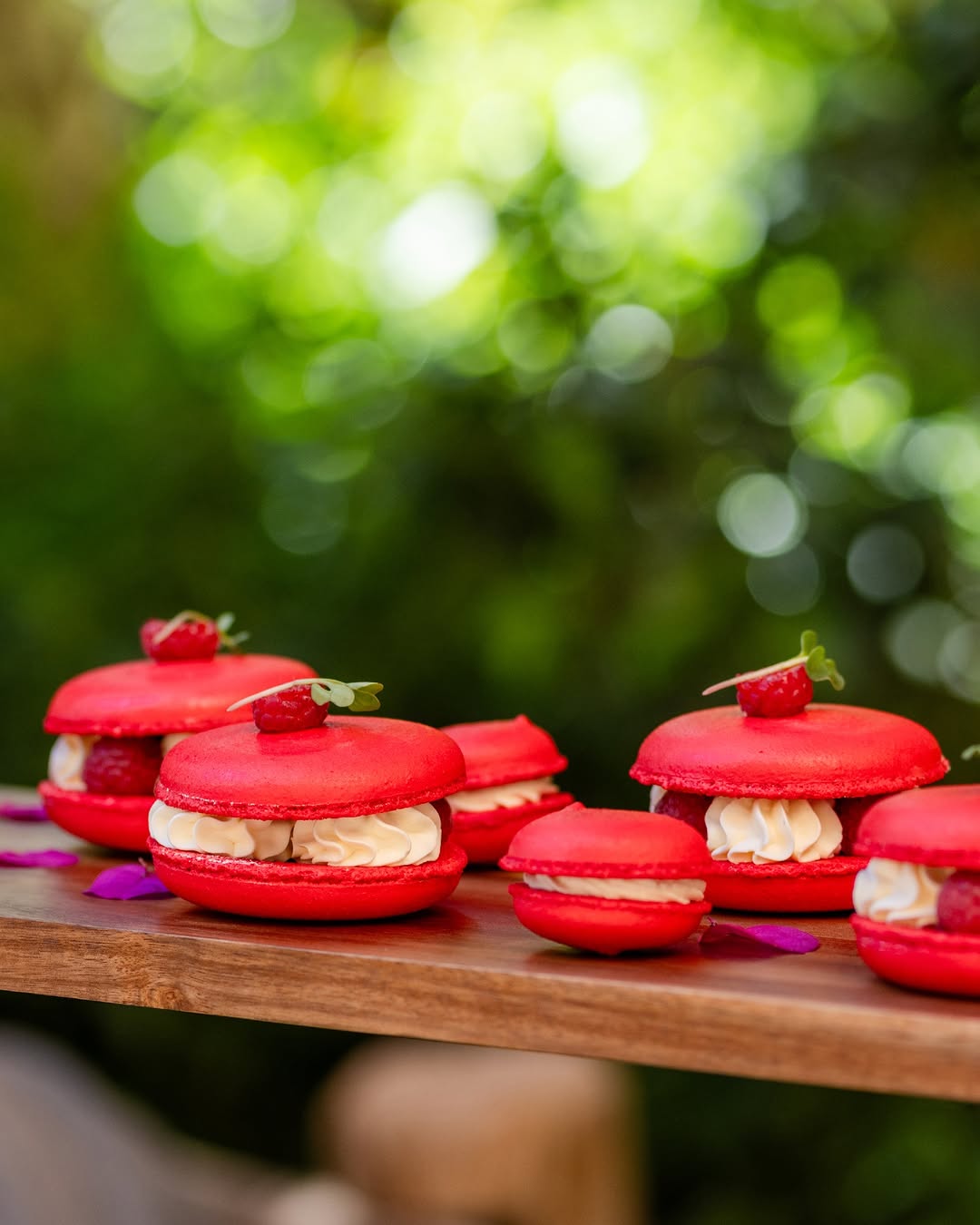 Le Red Lounge: high quality professional food photography