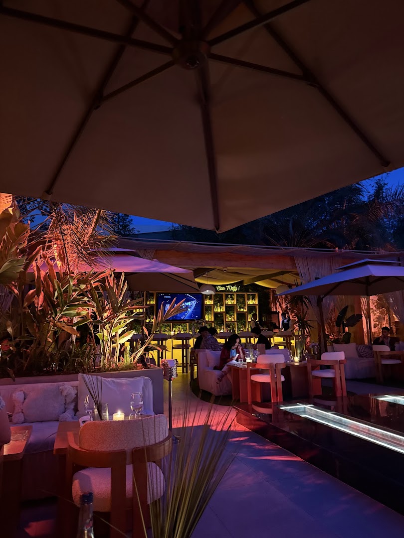 Lime Tree: attractive and inviting venue atmosphere
