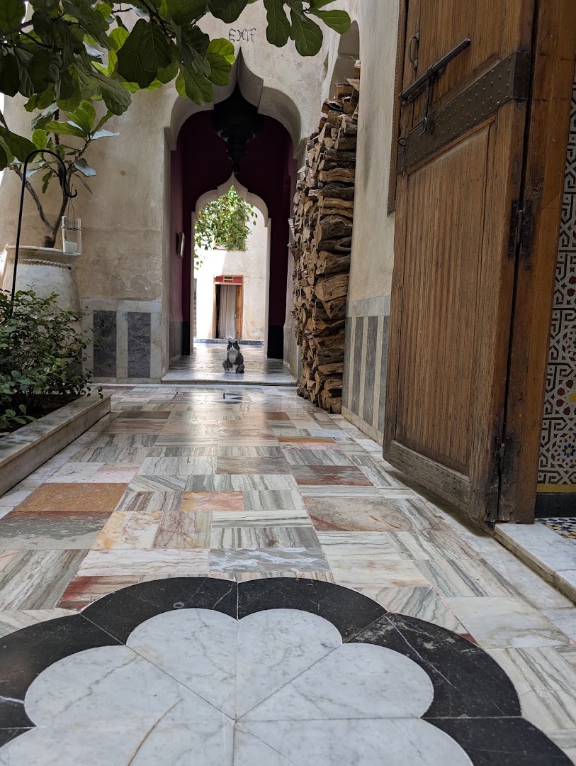 Galerie El Fenn: beautiful atmosphere of the venue