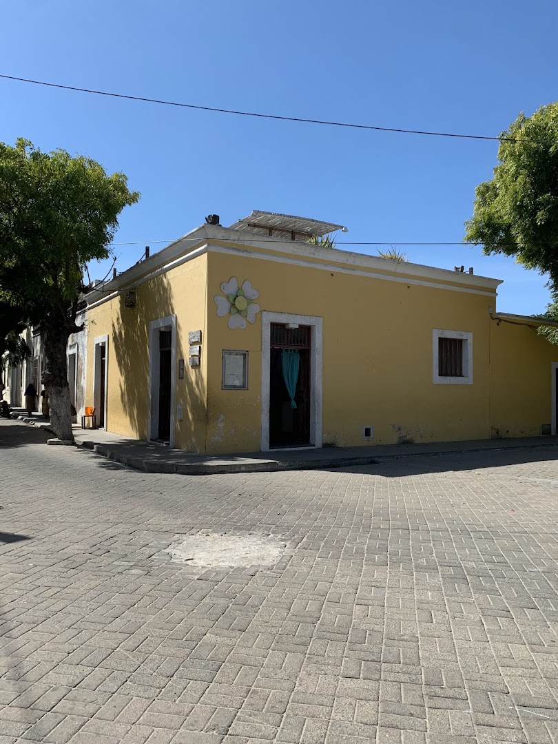 Flor de Rosa rooftop: clear exterior shot of venue