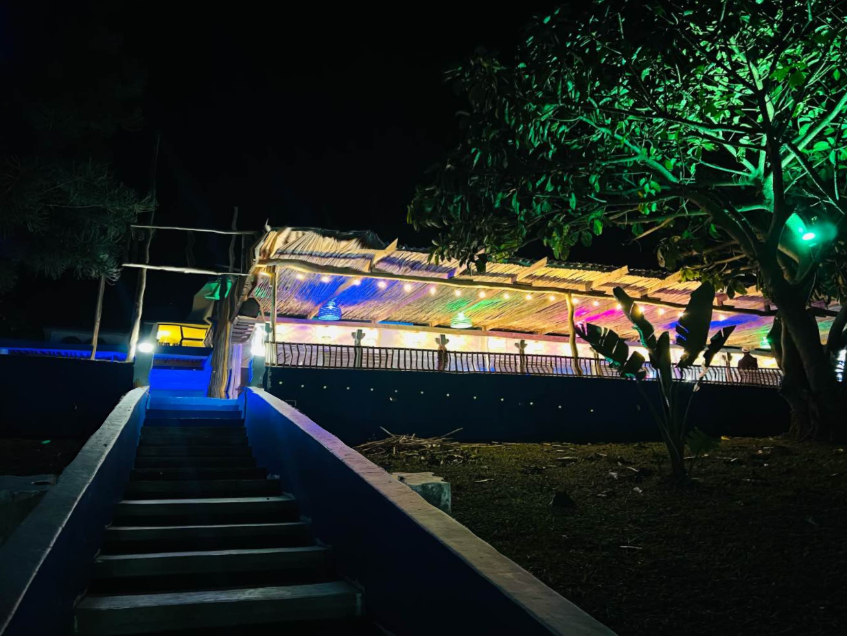 Sally Can't Surf: attractive night shot of venue