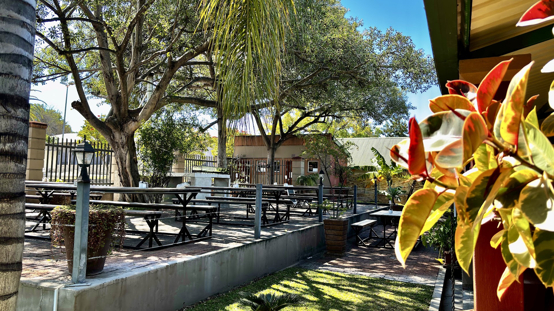 The Fig Tree Restaurant: attractive outdoor dining area