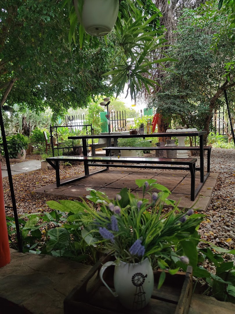 Bohemia Book Shop: inviting outdoor seating area atmosphere