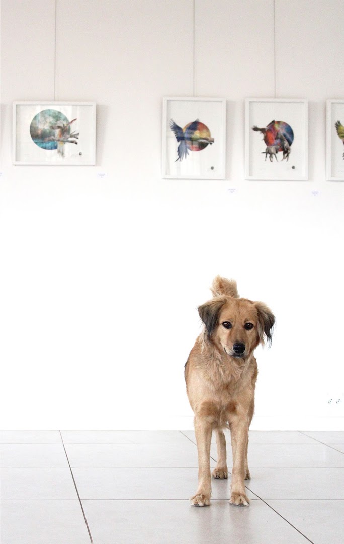 The Project Room: gallery space and art