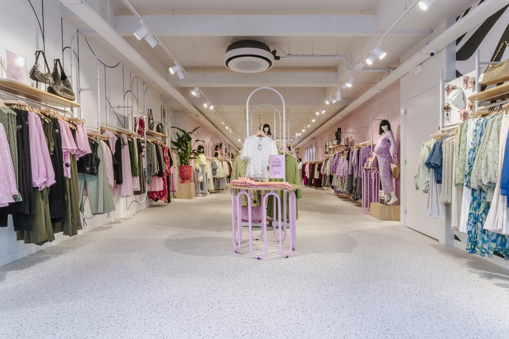 Guts & Gusto: clear, professional shop interior photo