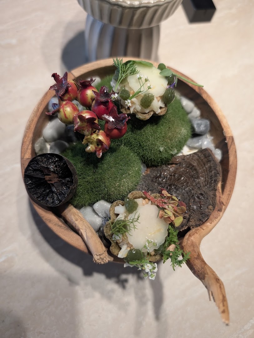 Munditia: high quality food presentation photo