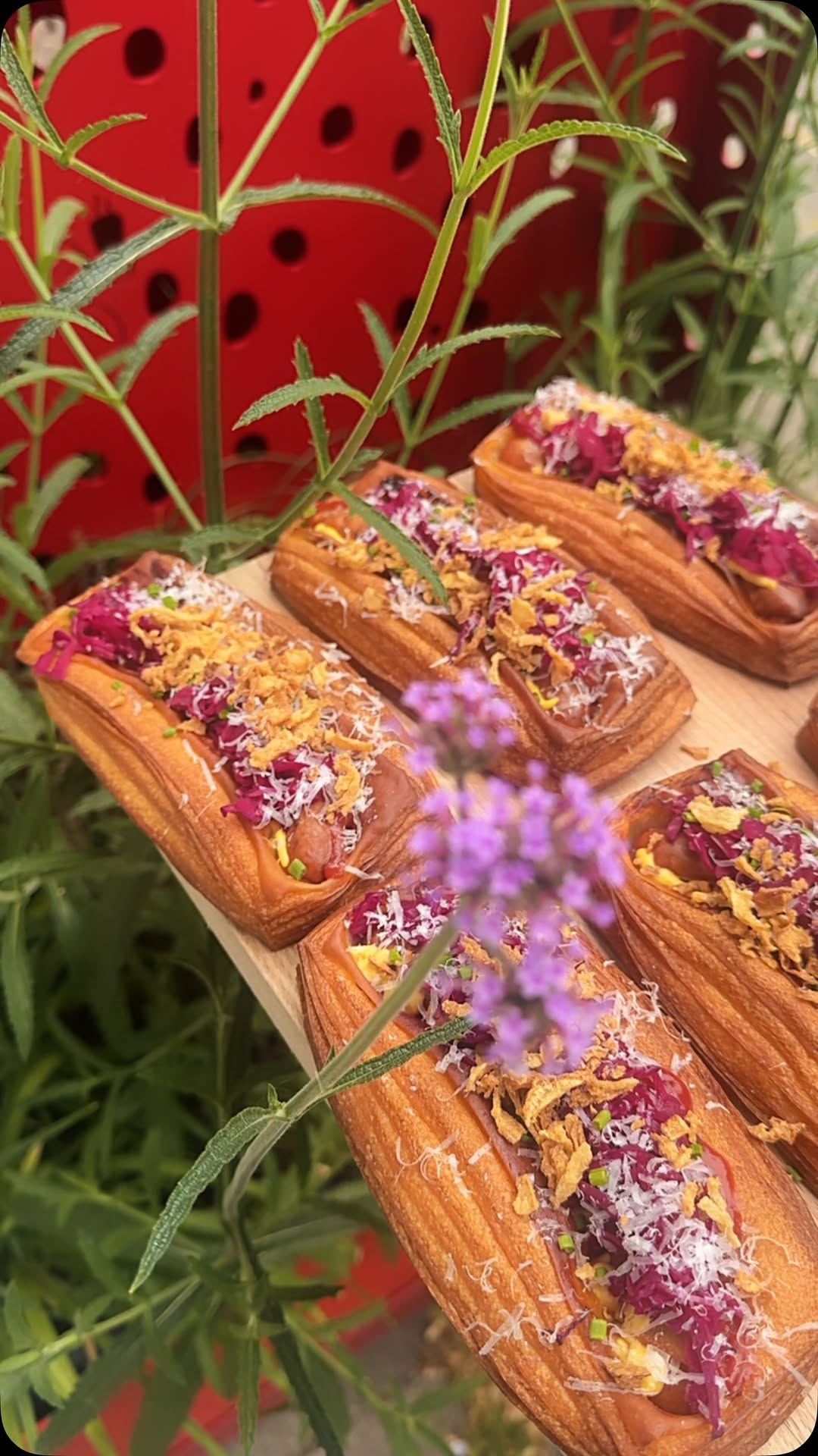 Dodo: appetizing, high-quality food photography
