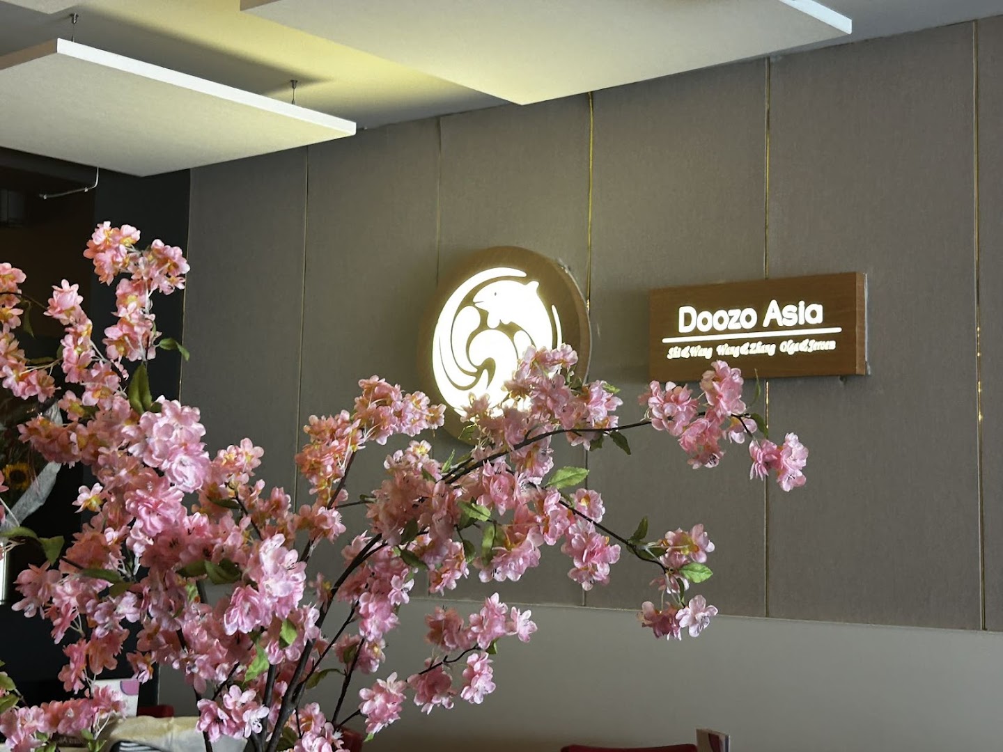 Doozo Asia · Harderwijk
