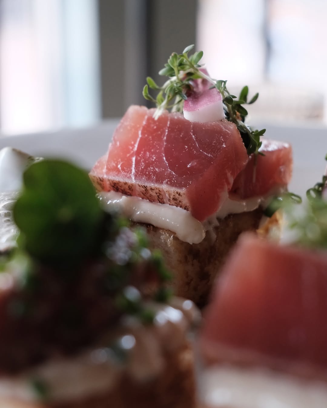 Café Toulouse: high quality appetizing food photo