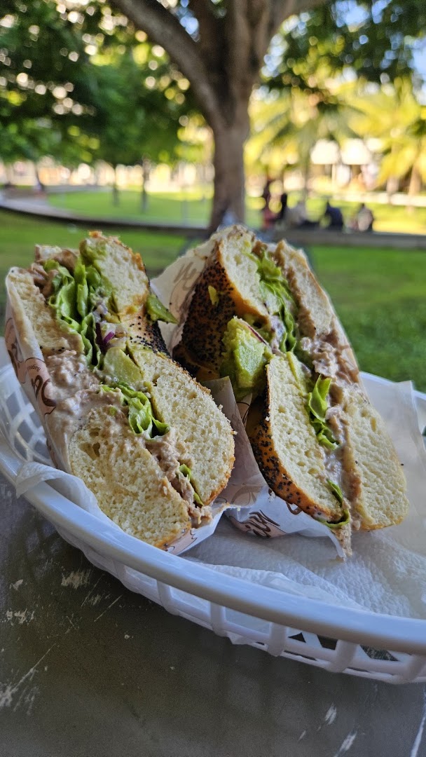 Daily Café - Bagels & Donuts: appetizing photo of fresh food