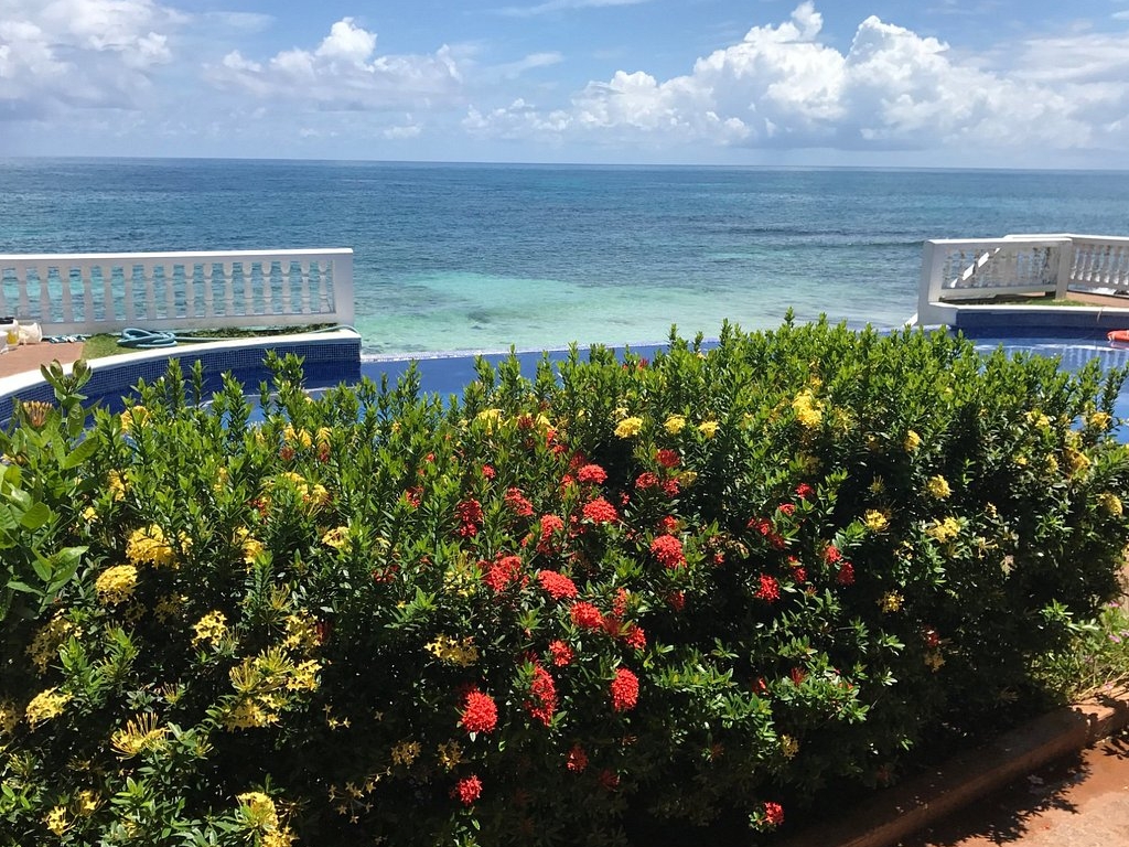 Casa Canada: beautiful restaurant terrace and view