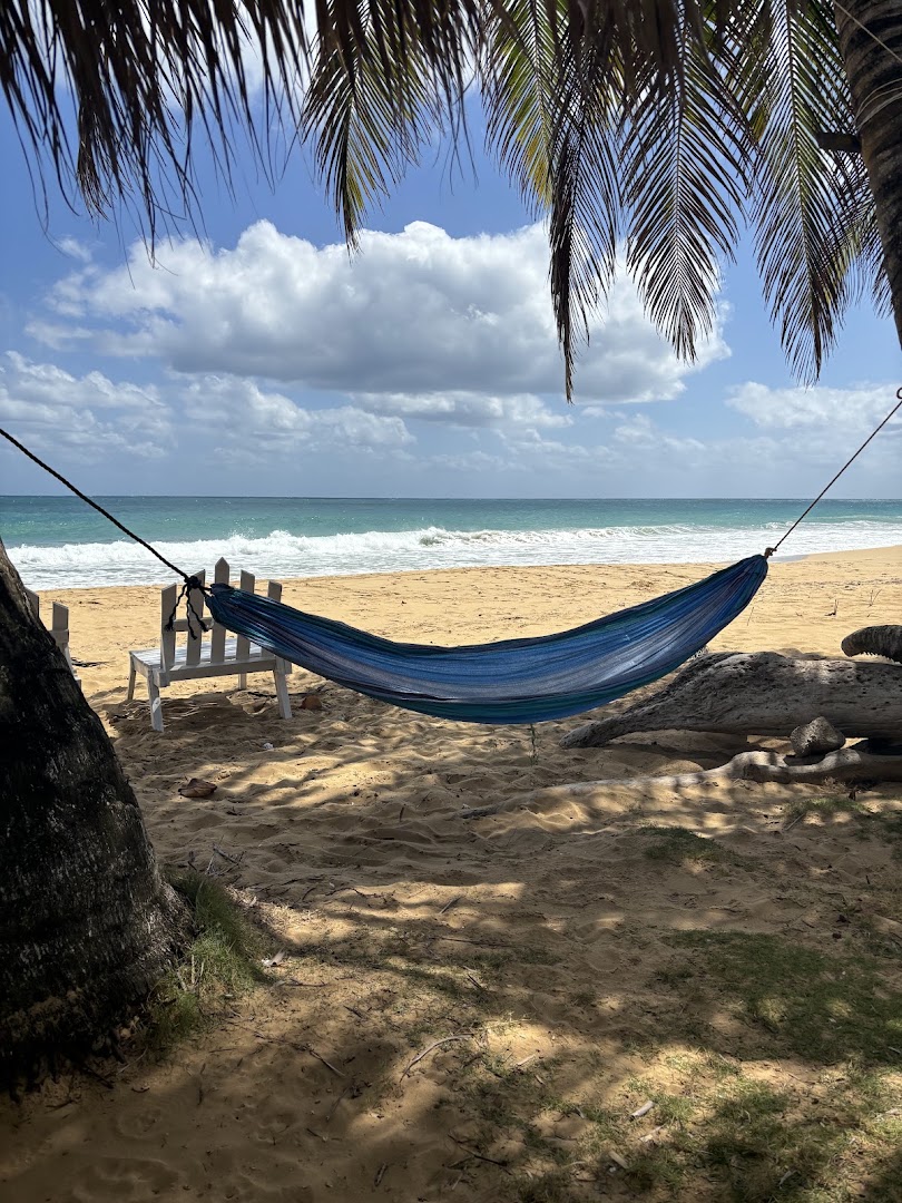 Island Style Beach Bar & Restaurant: inviting beach bar atmosphere