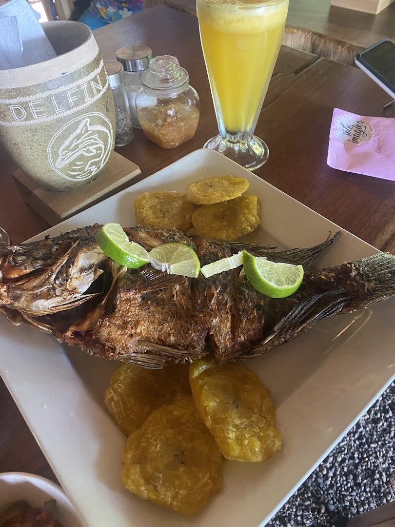 Delfín Azul: appetizing food photo with branding