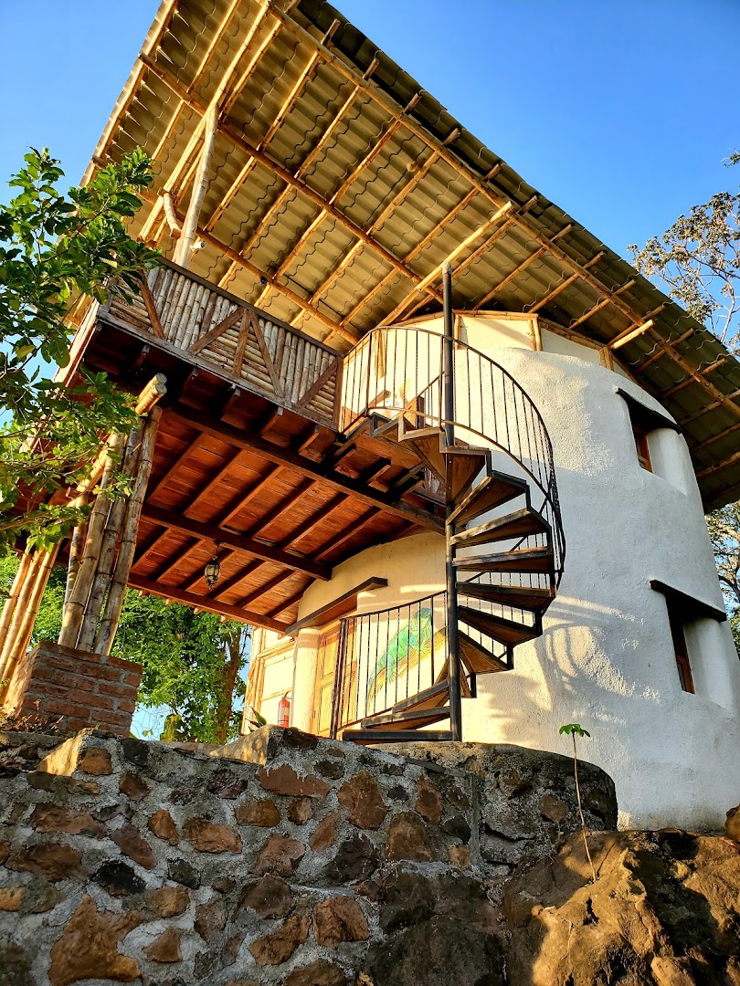The Jungle: attractive exterior architectural shot