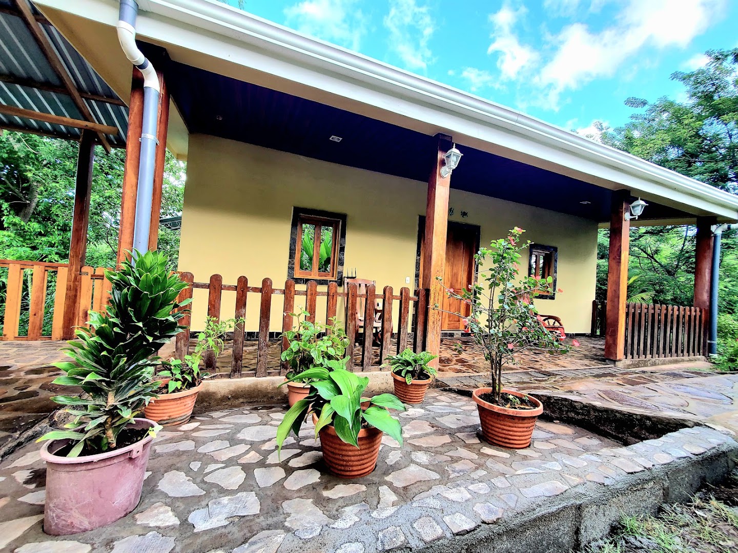 The Jungle: clear photo of restaurant exterior