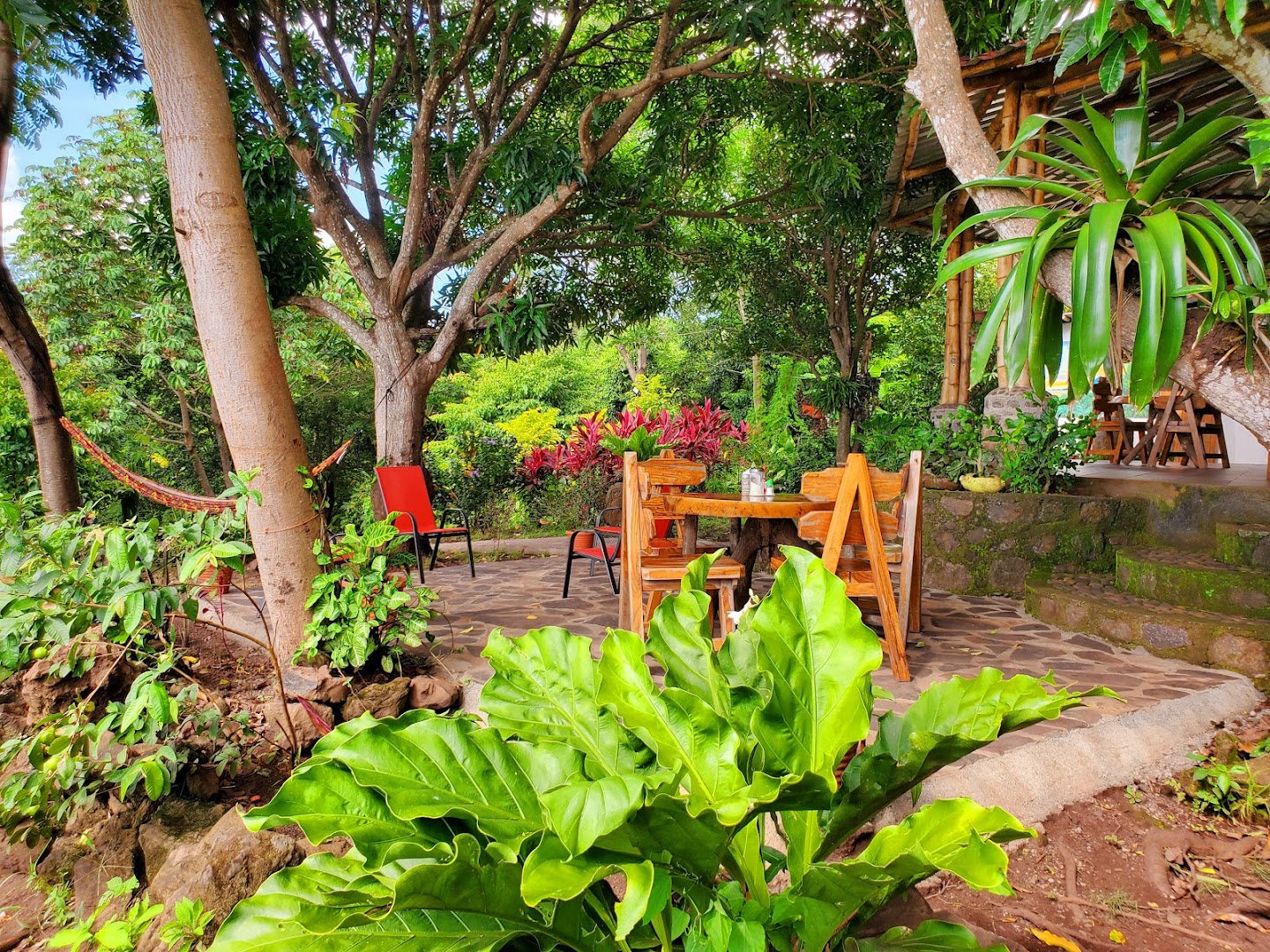 The Jungle: inviting and clear restaurant atmosphere