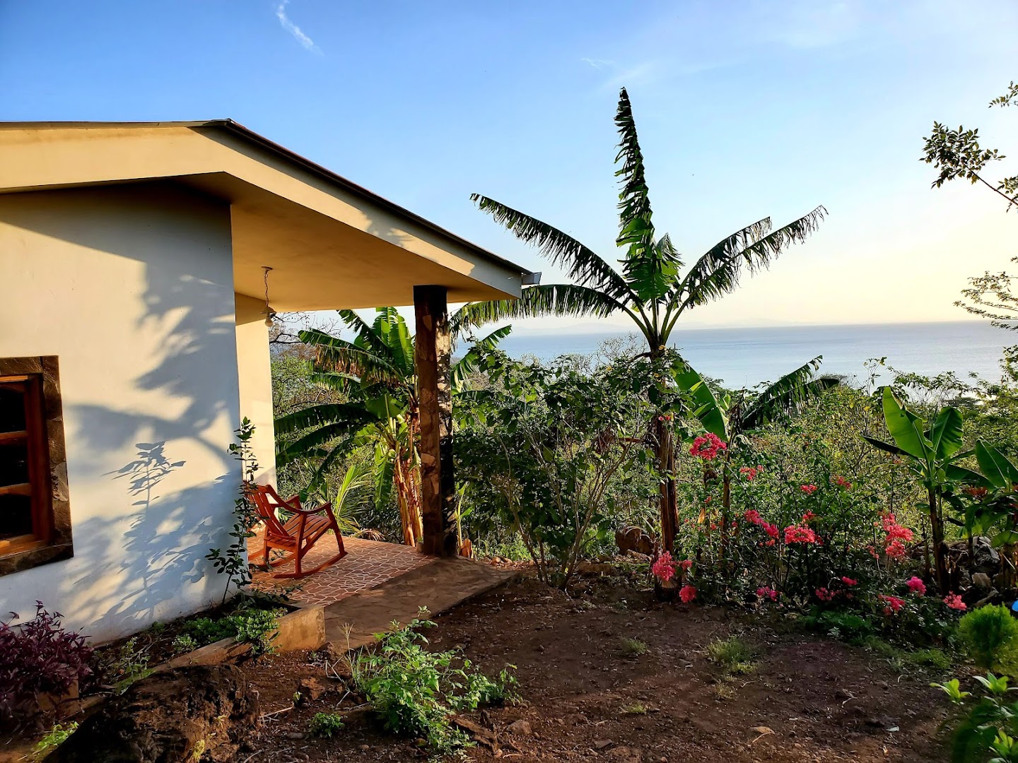 The Jungle: beautiful atmosphere and scenic view