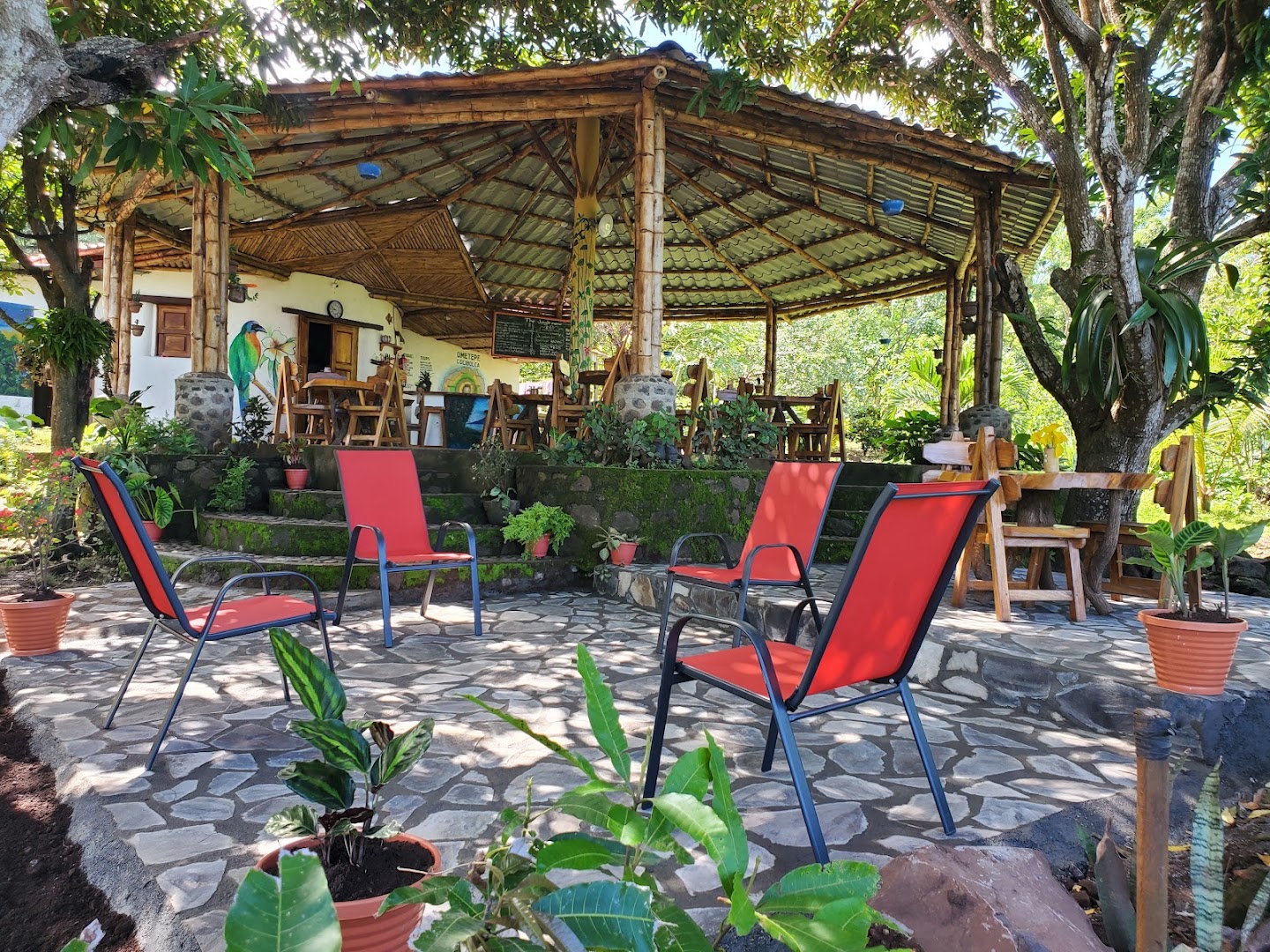 The Jungle: inviting and clear venue atmosphere