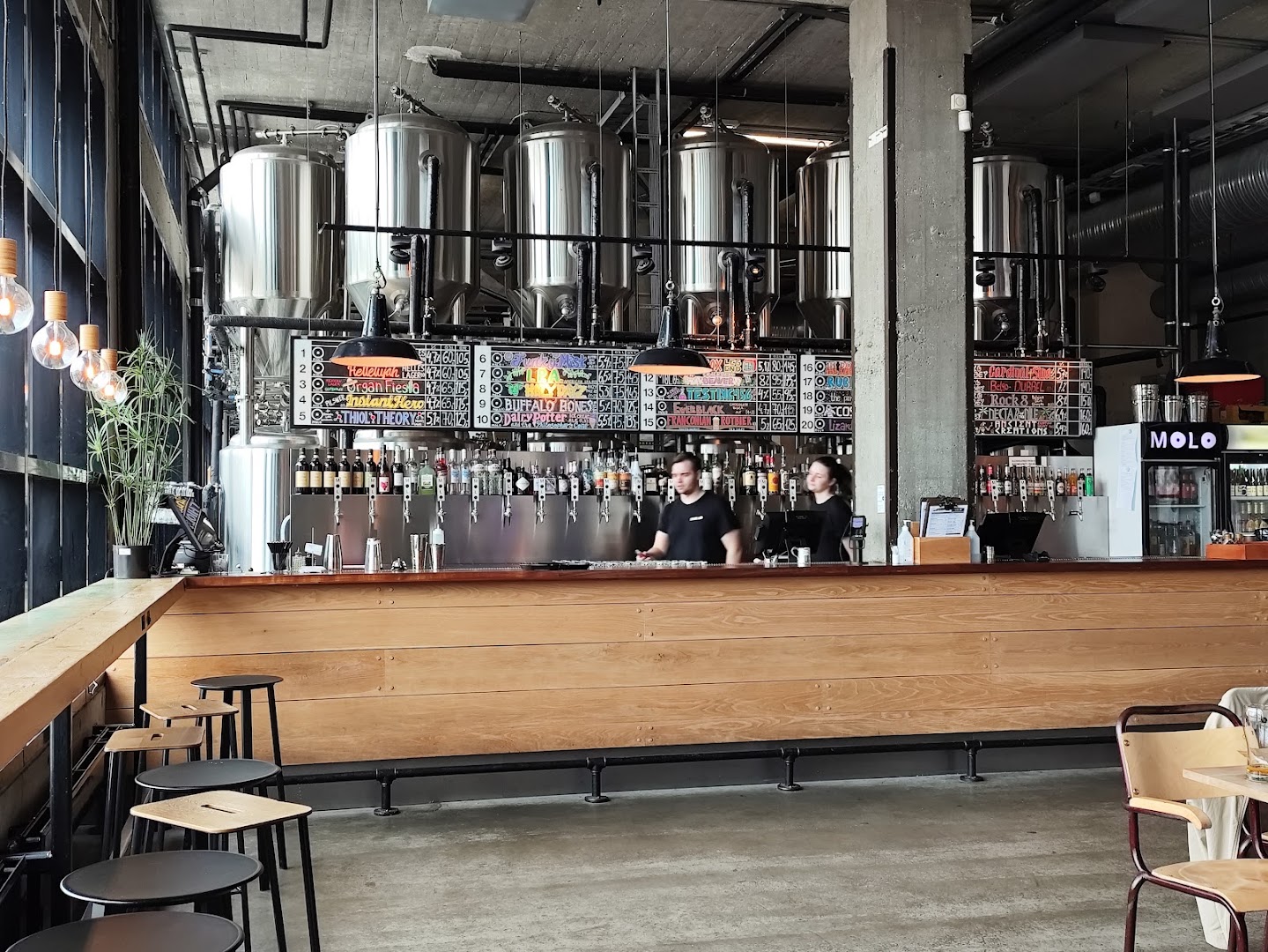 Molo Brew: high quality interior bar shot