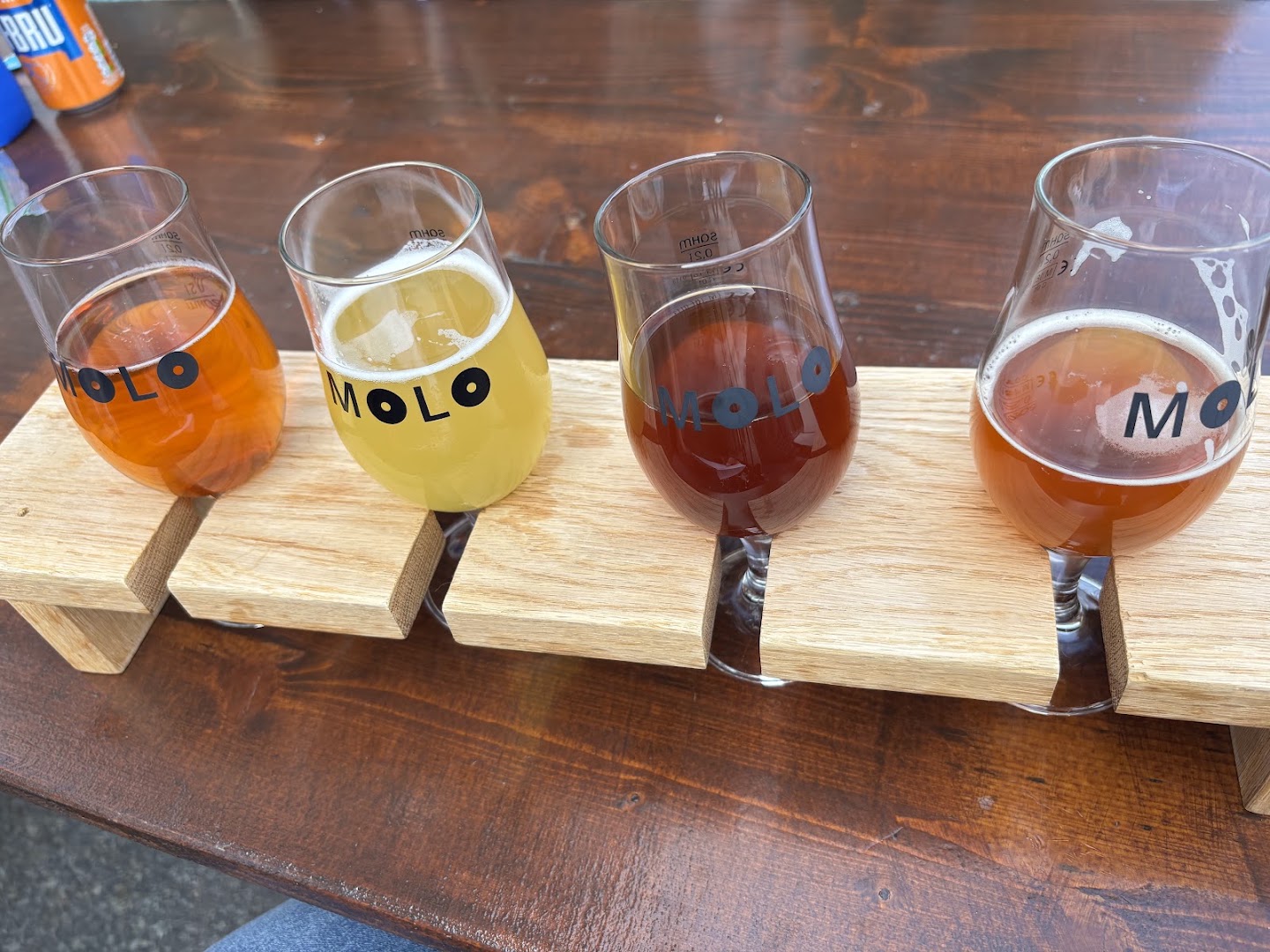 Molo Brew: appealing beer flight photo