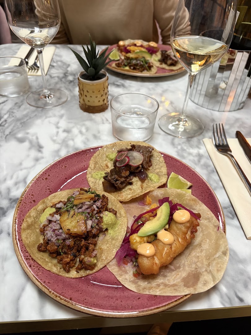 Agave: appetizing food photography