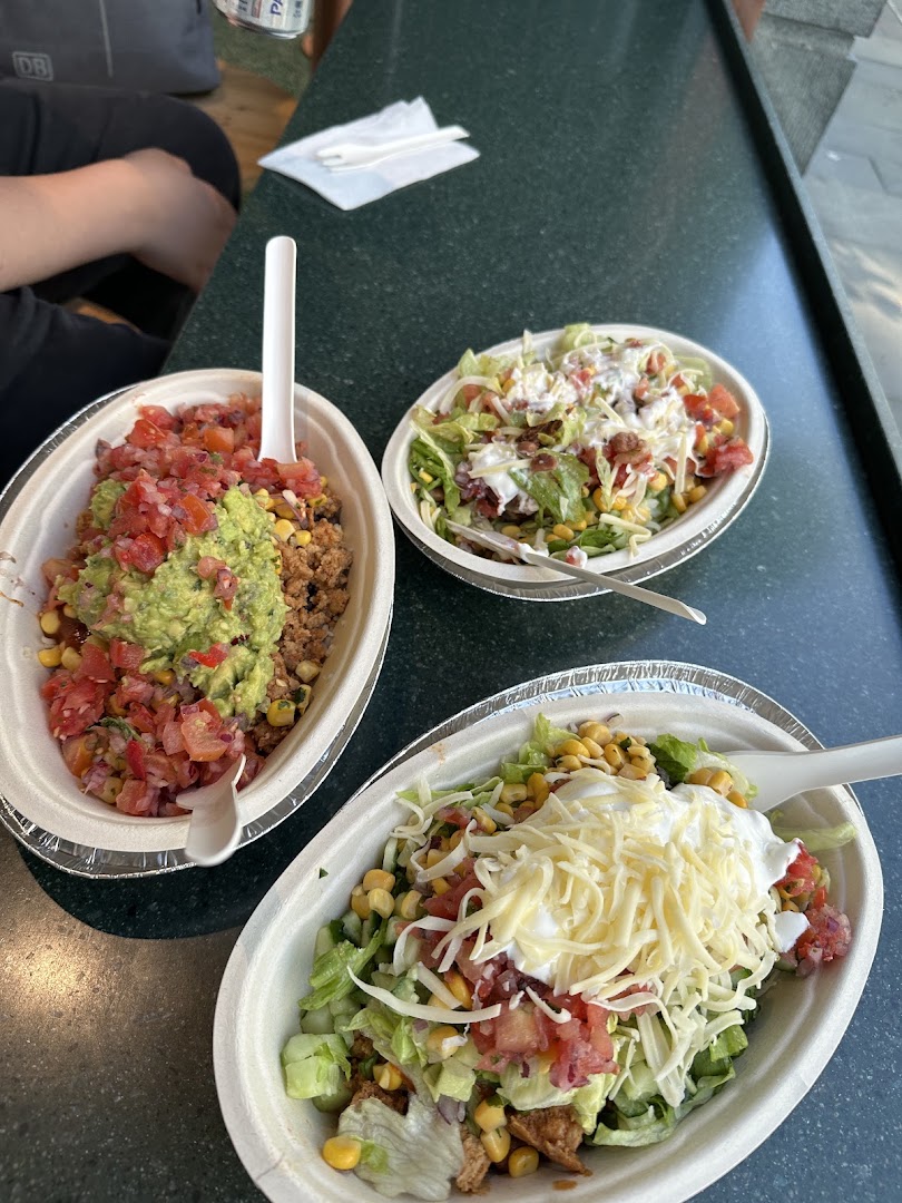 Cactus: clear photo of restaurant food