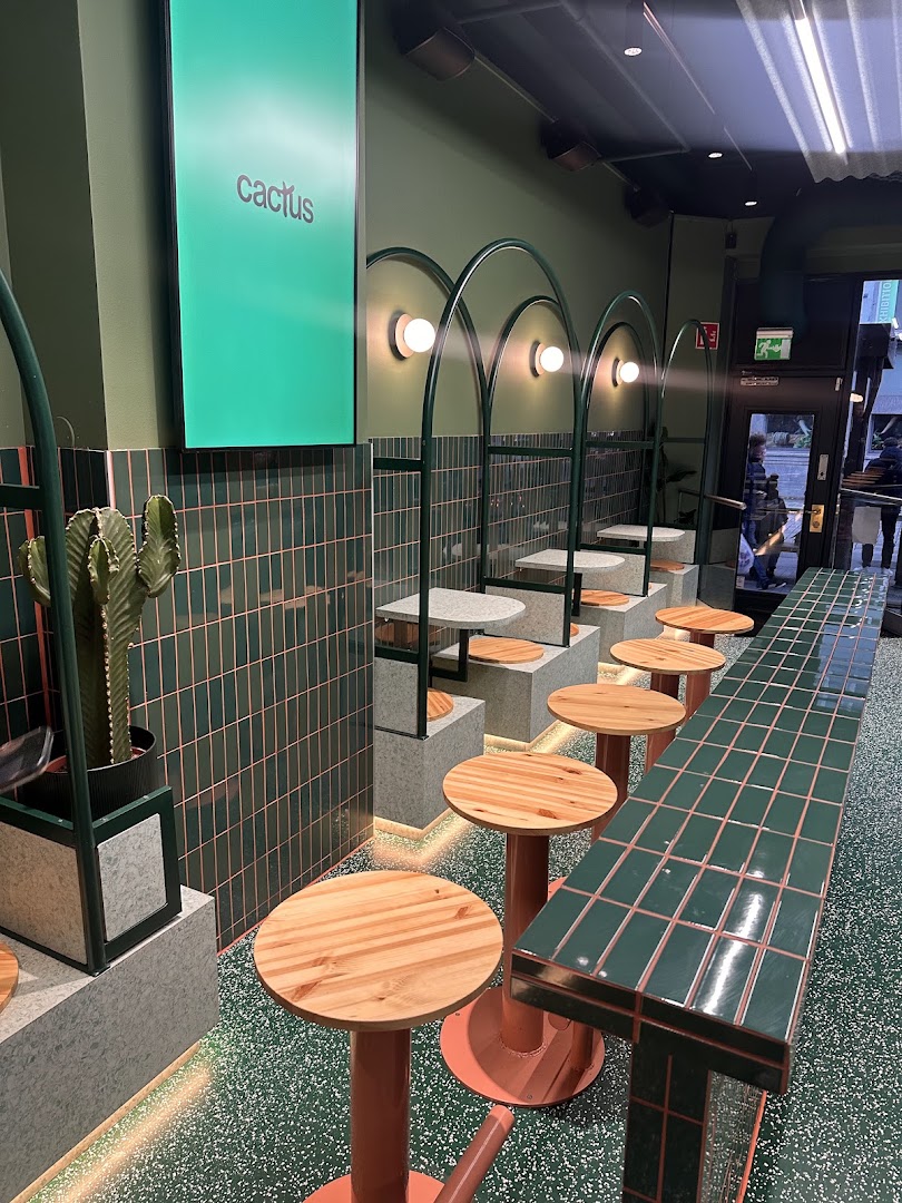 Cactus: clear, professional interior shot