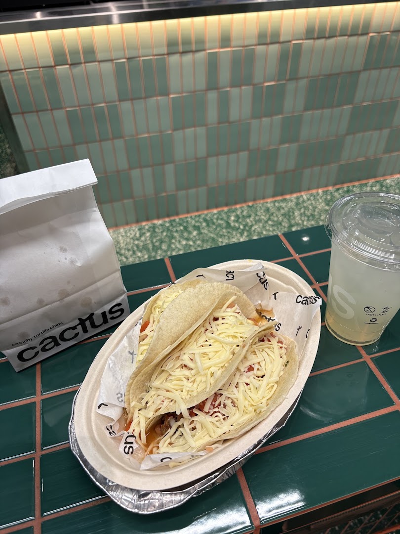 Cactus: appetizing food photo at venue