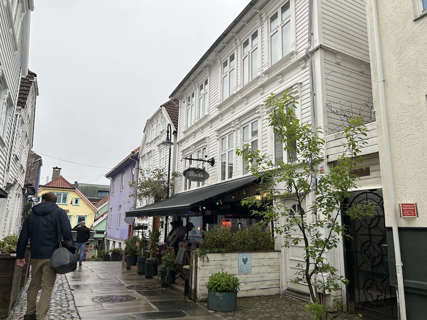Bacchus: clear exterior shot of venue