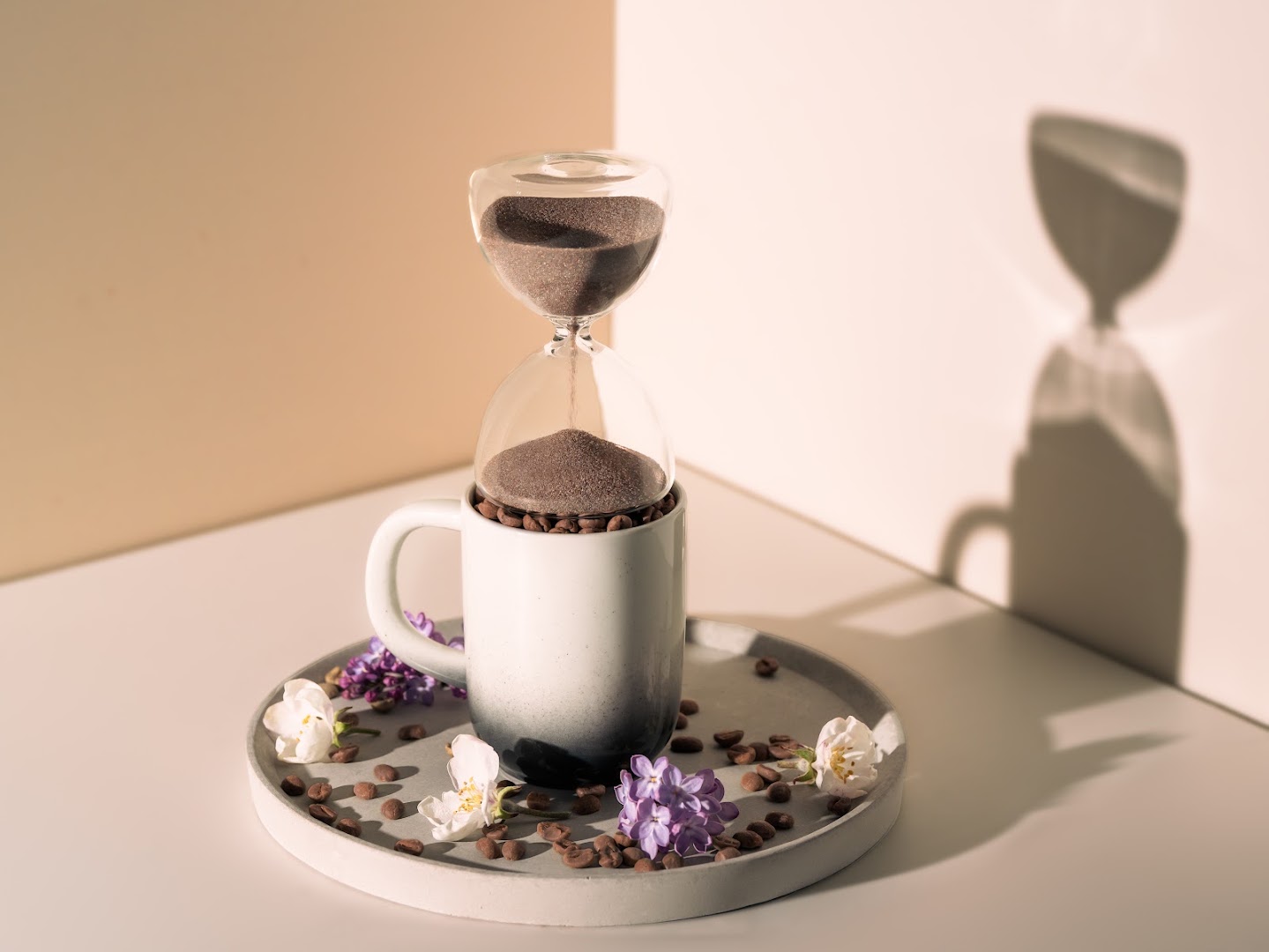 ilo: artistic and professional coffee photography