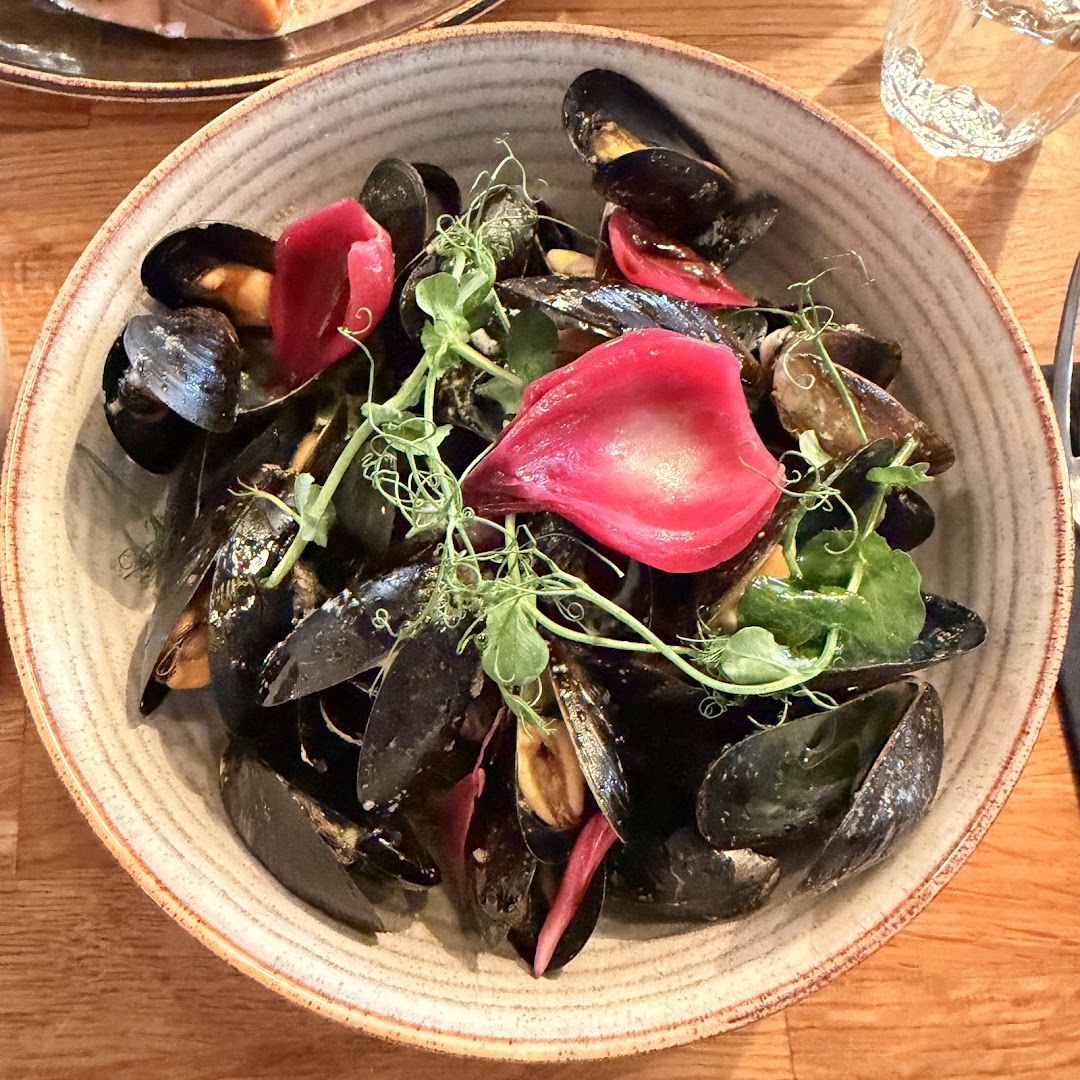 Bardus Bistro: appetizing, high-quality food photography