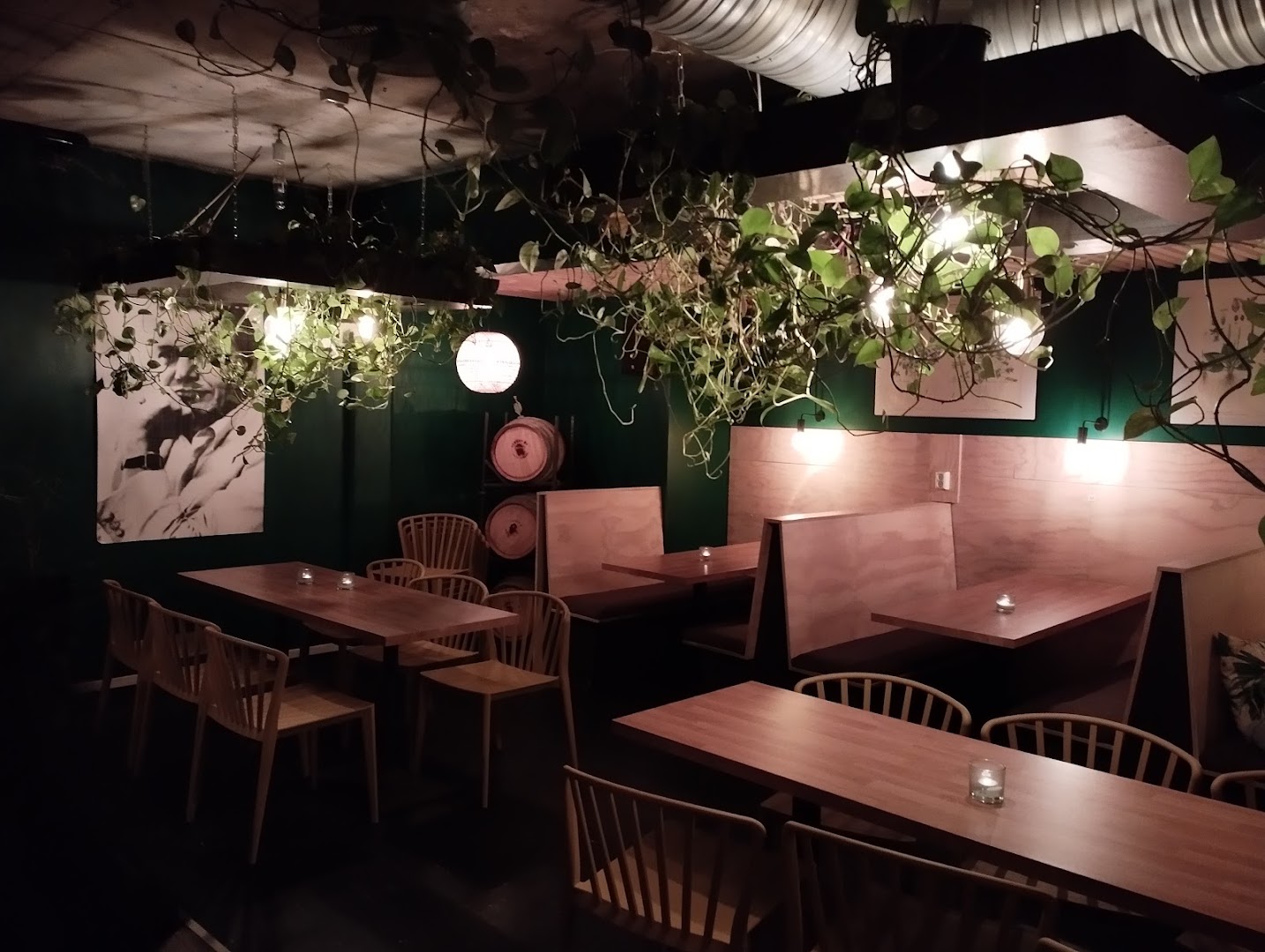 Habitat Craft Bar: inviting atmosphere and professional interior shot