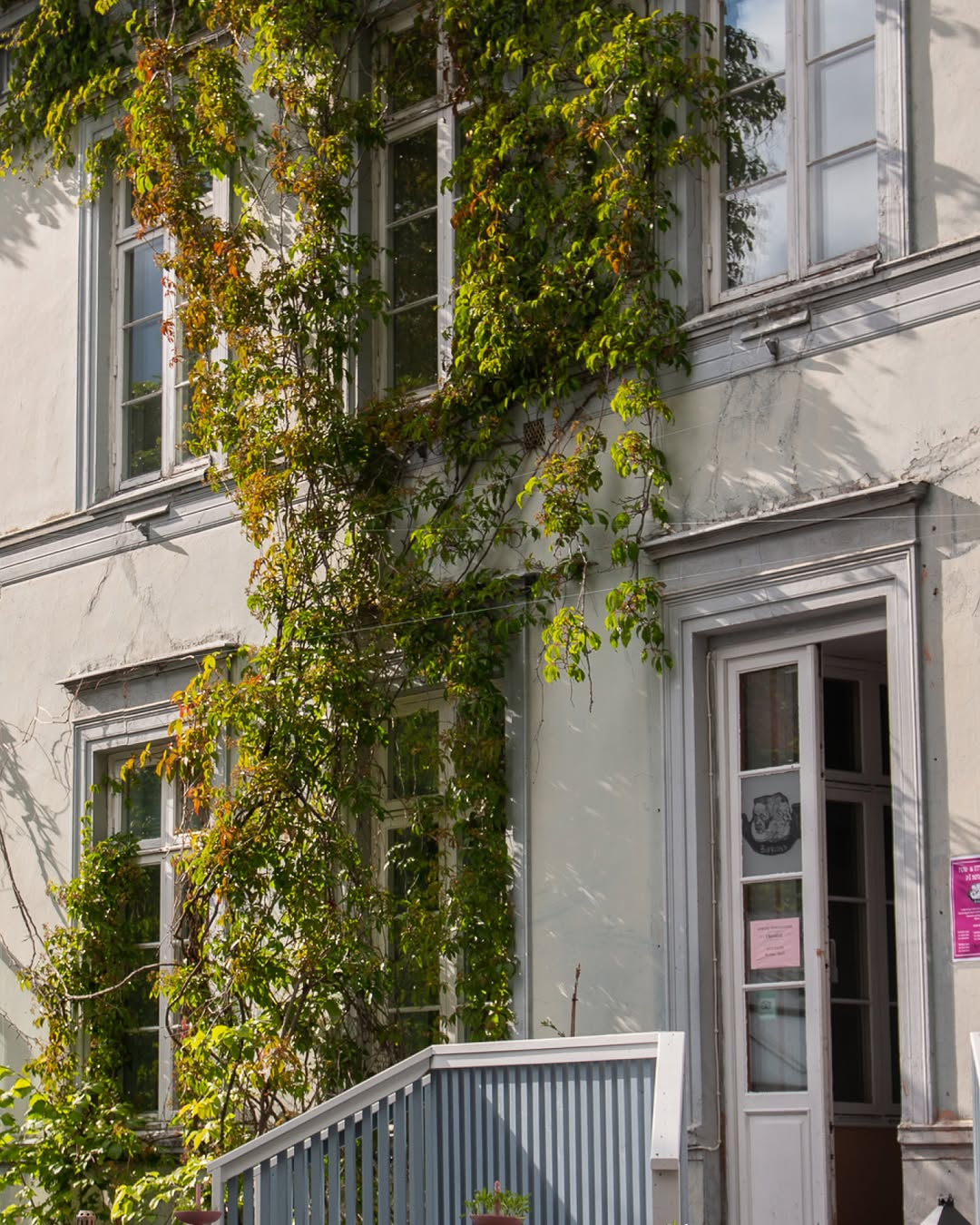 Mesob: attractive exterior of the venue