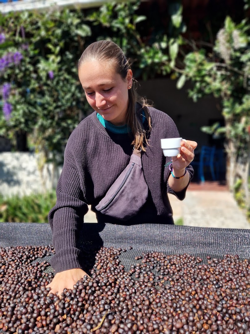 Finca Dos Jefes: authentic coffee processing experience
