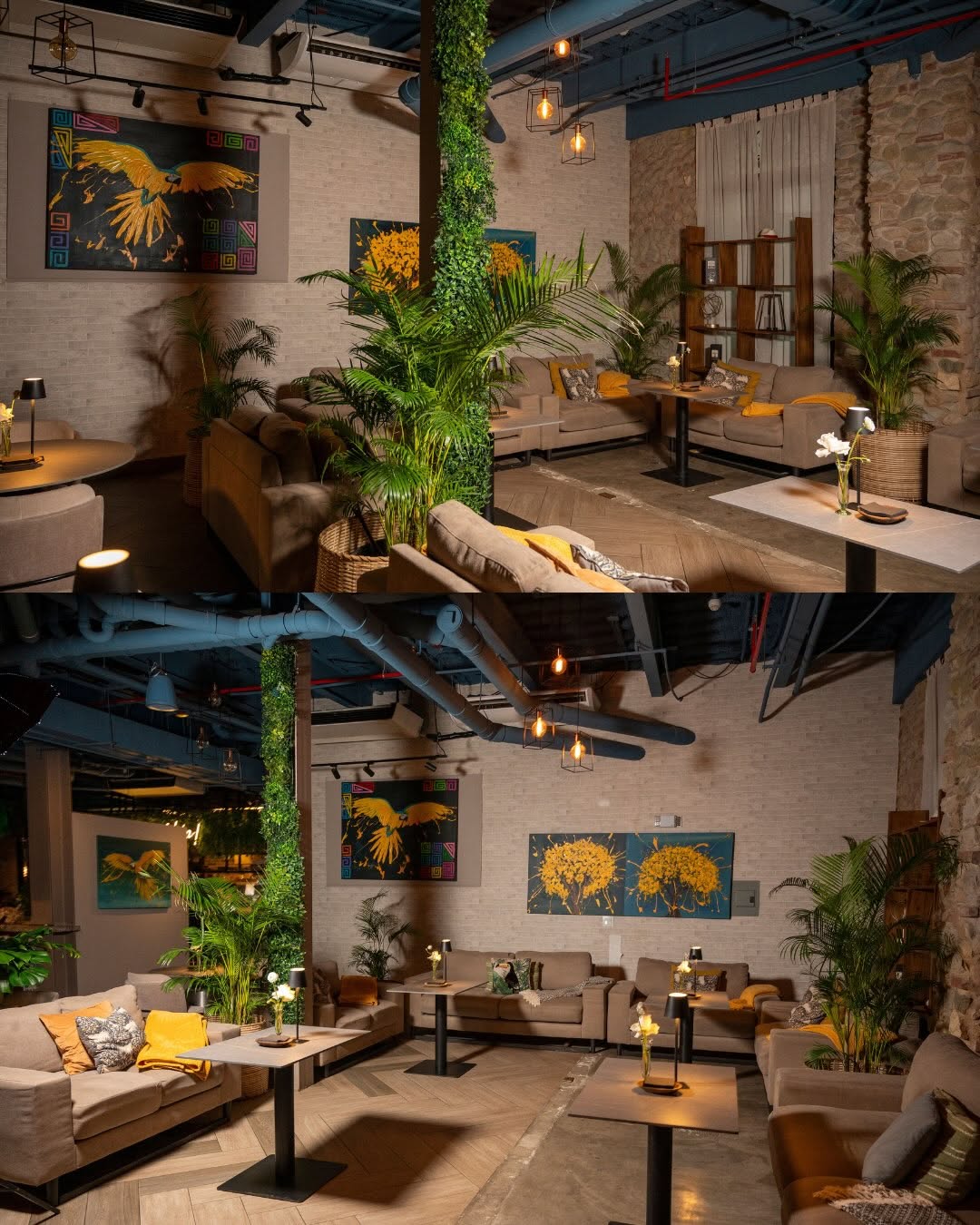 Aya la Vida: high quality interior atmosphere shot