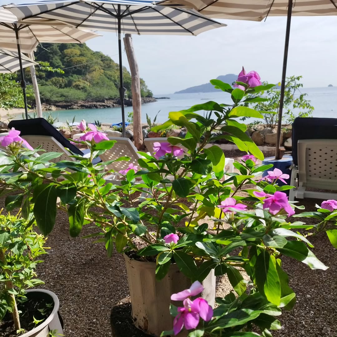 Restaurante Bar Tamarindo: beautiful terrace and ocean view
