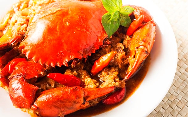 Ocean Restaurant: appetizing, high-quality food photography