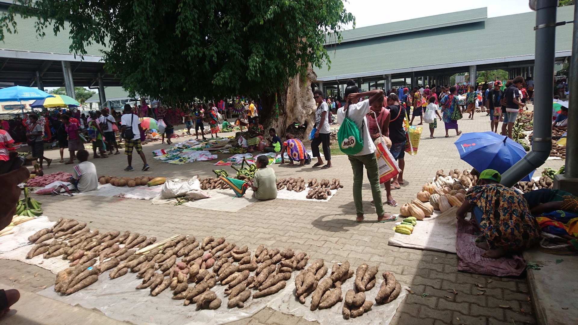 Madang Main Market: authentic market atmosphere