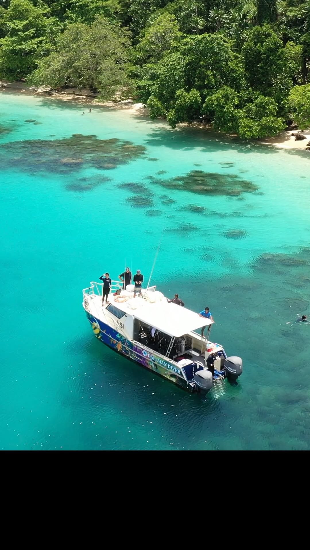 Niugini Dive Adventures: venue activity and atmosphere