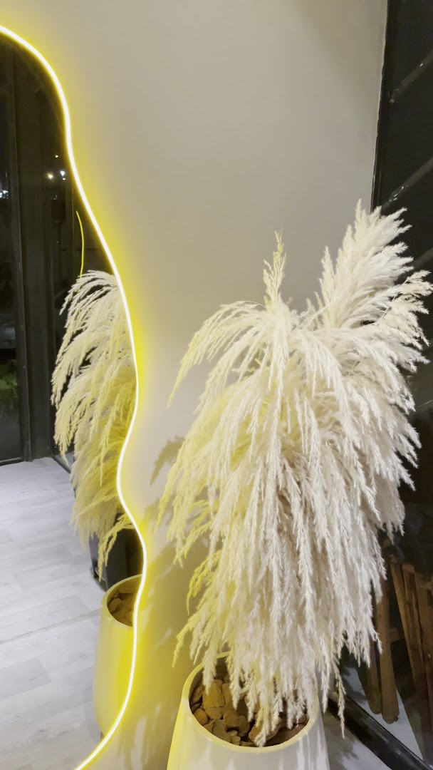 Kalon Café & Açaí: stylish interior decor and atmosphere
