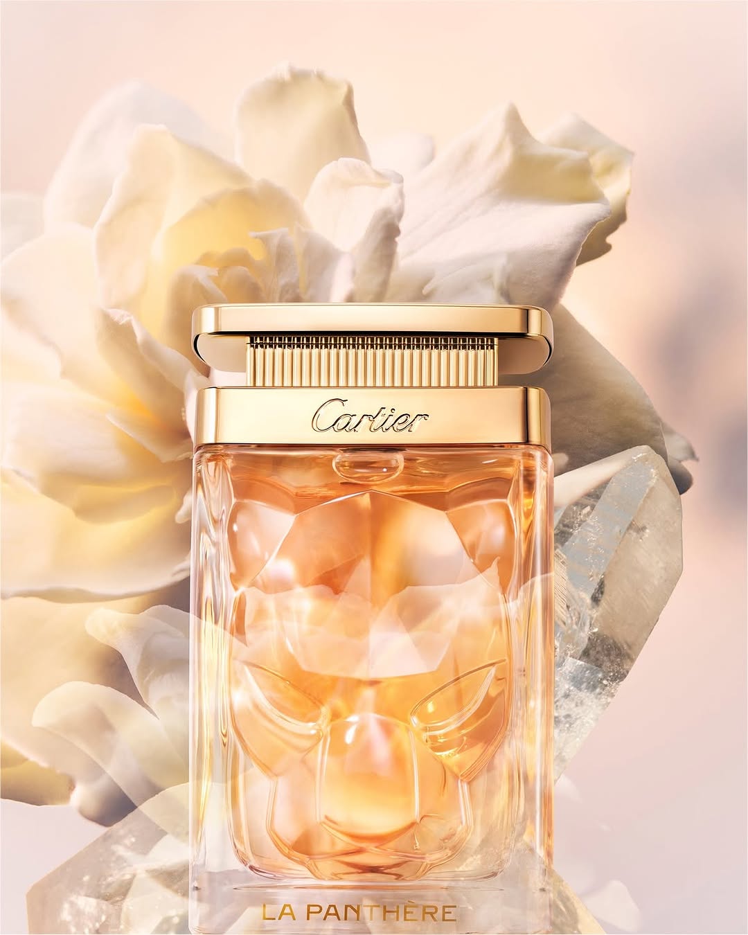 Vendôme Paseo La Galería: professional high-quality product photography